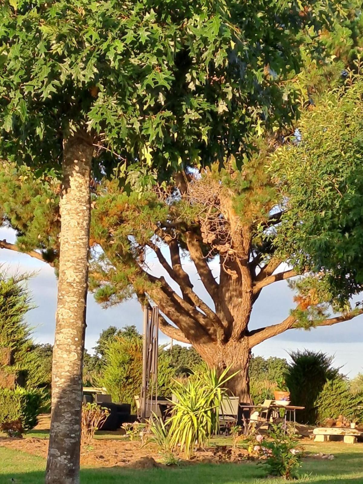 Gite En Campagne Lamegritniere Bagian luar foto