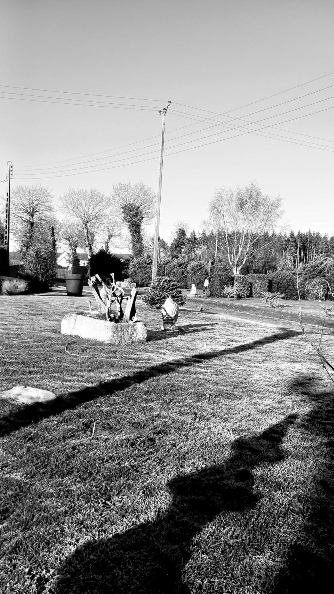 Gite En Campagne Lamegritniere Bagian luar foto