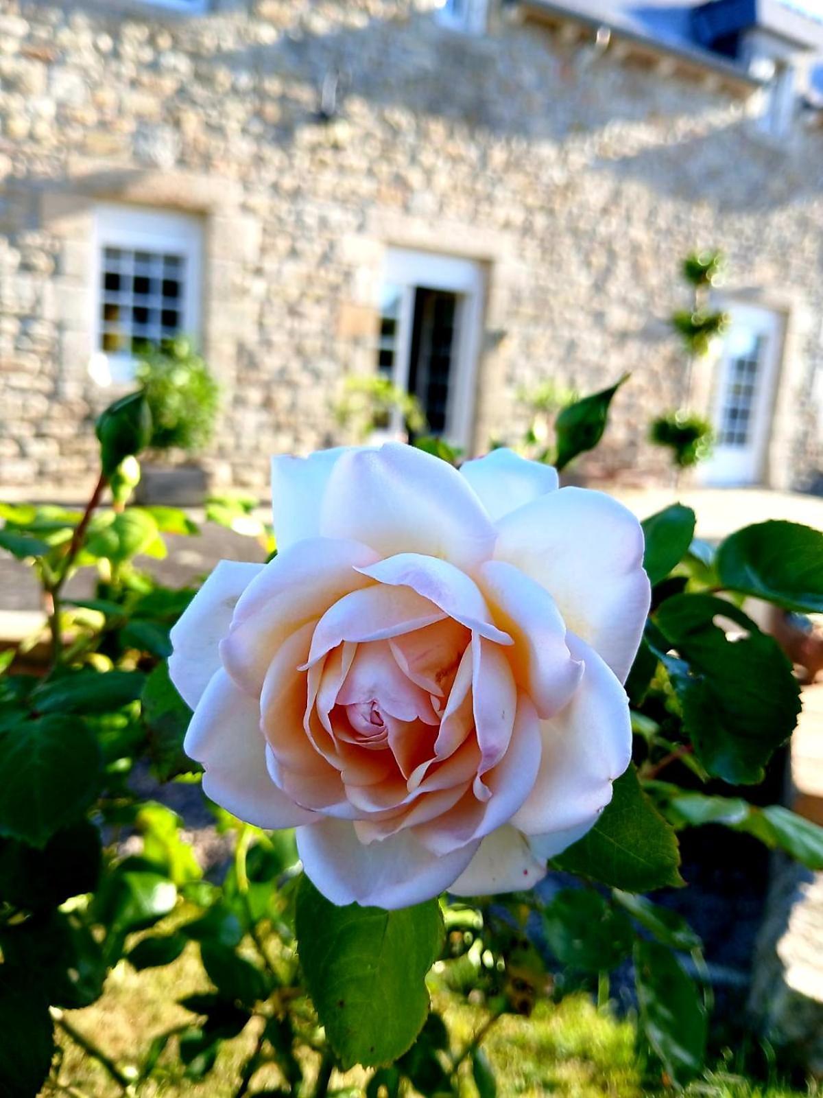 Gite En Campagne Lamegritniere Bagian luar foto