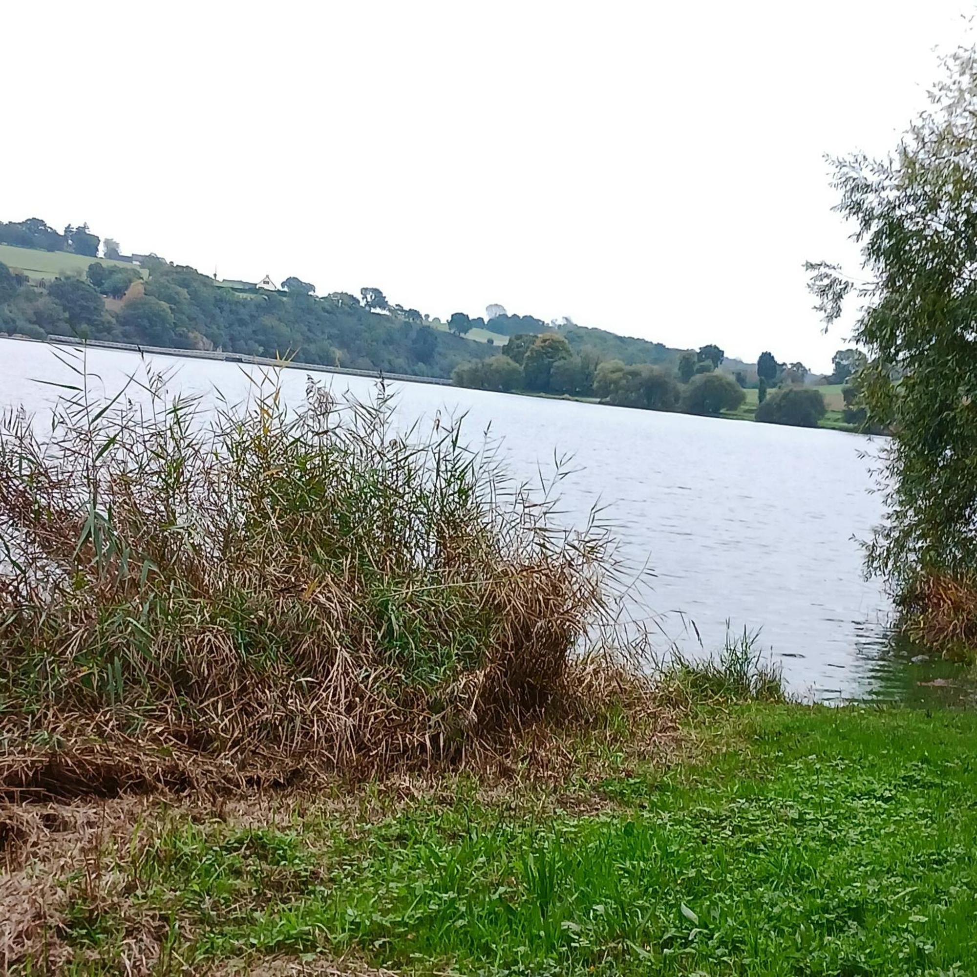 Gite En Campagne Lamegritniere Bagian luar foto