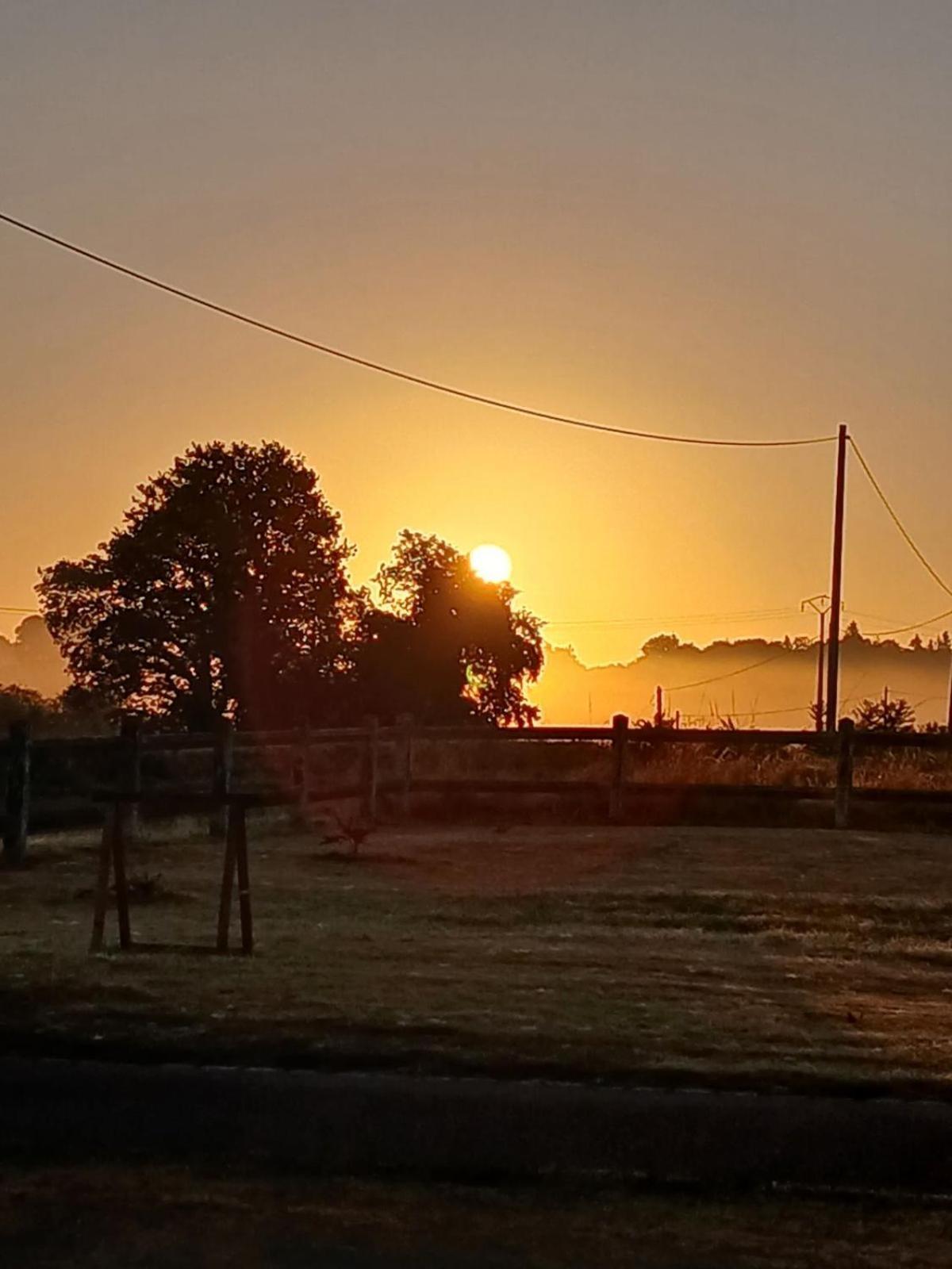 Gite En Campagne Lamegritniere Bagian luar foto