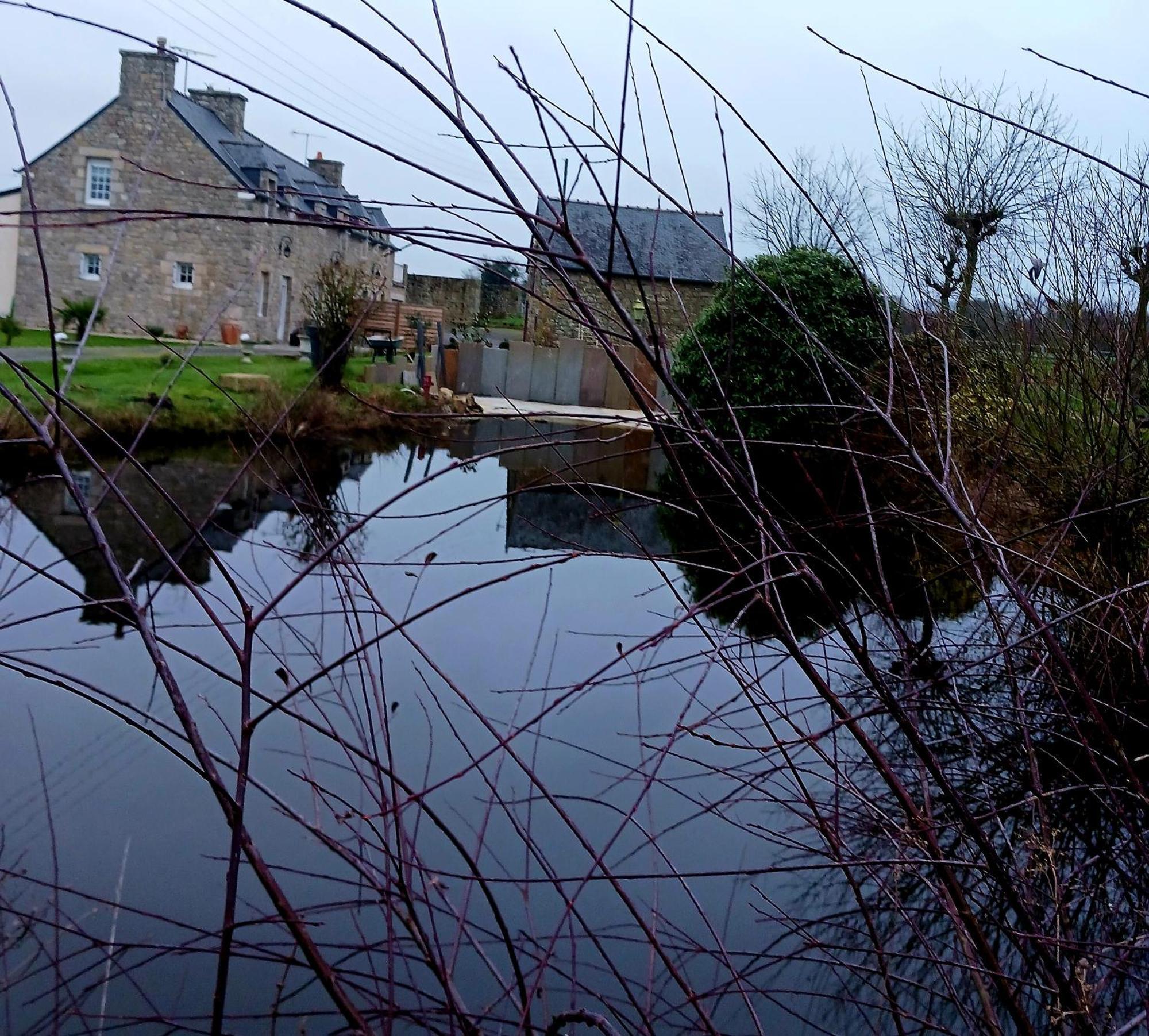 Gite En Campagne Lamegritniere Bagian luar foto