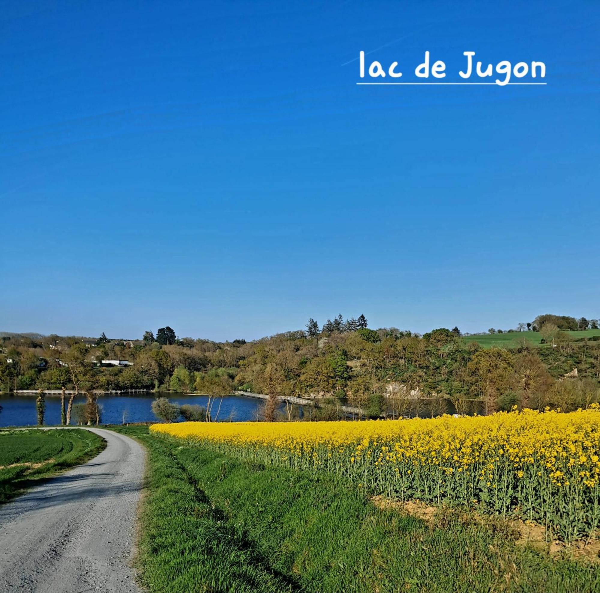Gite En Campagne Lamegritniere Bagian luar foto