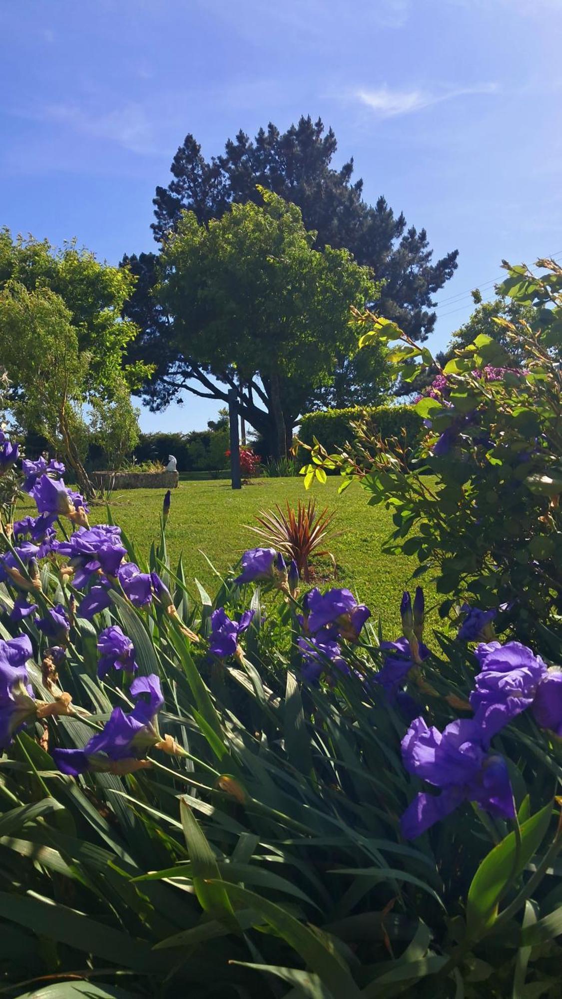 Gite En Campagne Lamegritniere Bagian luar foto