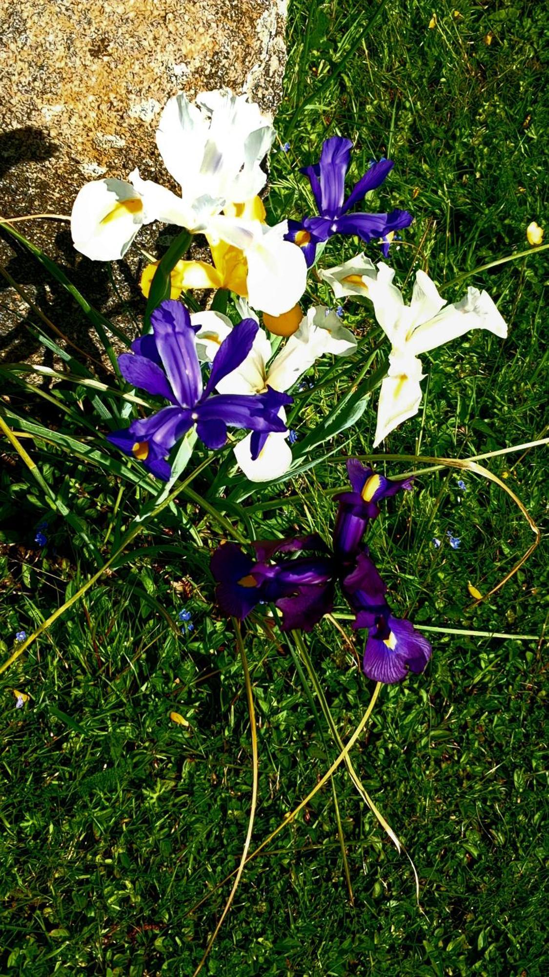 Gite En Campagne Lamegritniere Bagian luar foto